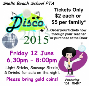 PTA Family Disco 2015