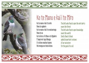 SchoolWaiata_A3s_V2-page-001