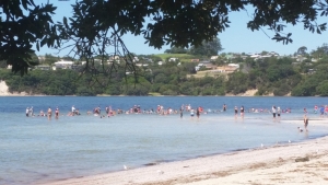 Whole school at beach