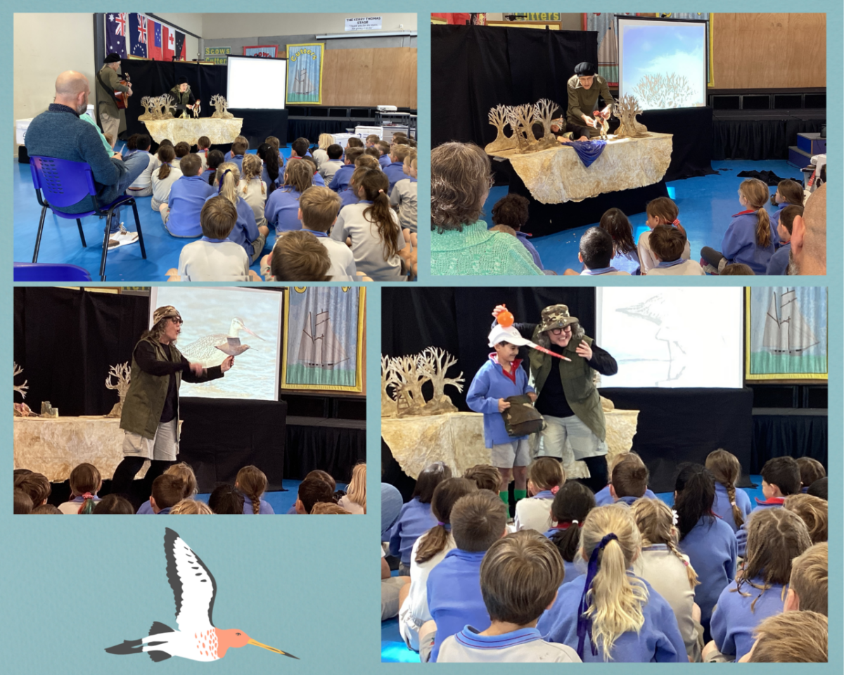 Middle School puppet school (1) Snells Beach School